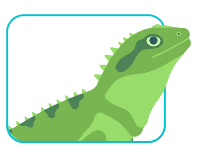 reptil tuatara como ejemplo de branding