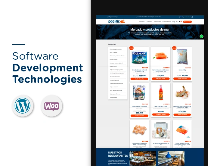 technologies used in pacific's website development