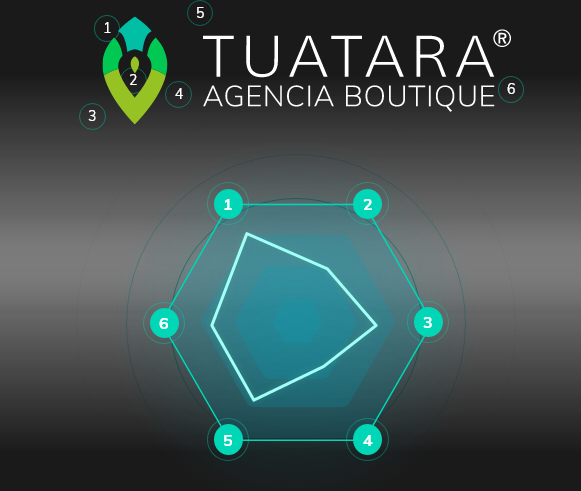 banner homepage tuatara boutique agency important aspects to take into account in the branding that is carried out in tuatara