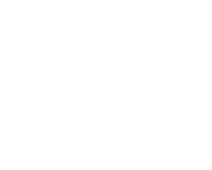 logo enelx