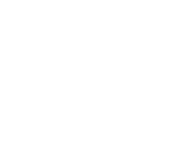 digital evolution fund logotype