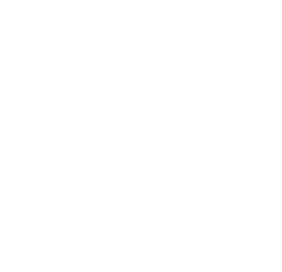 ibisa logotype