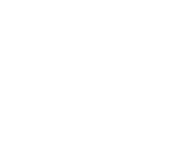 p4s logotype