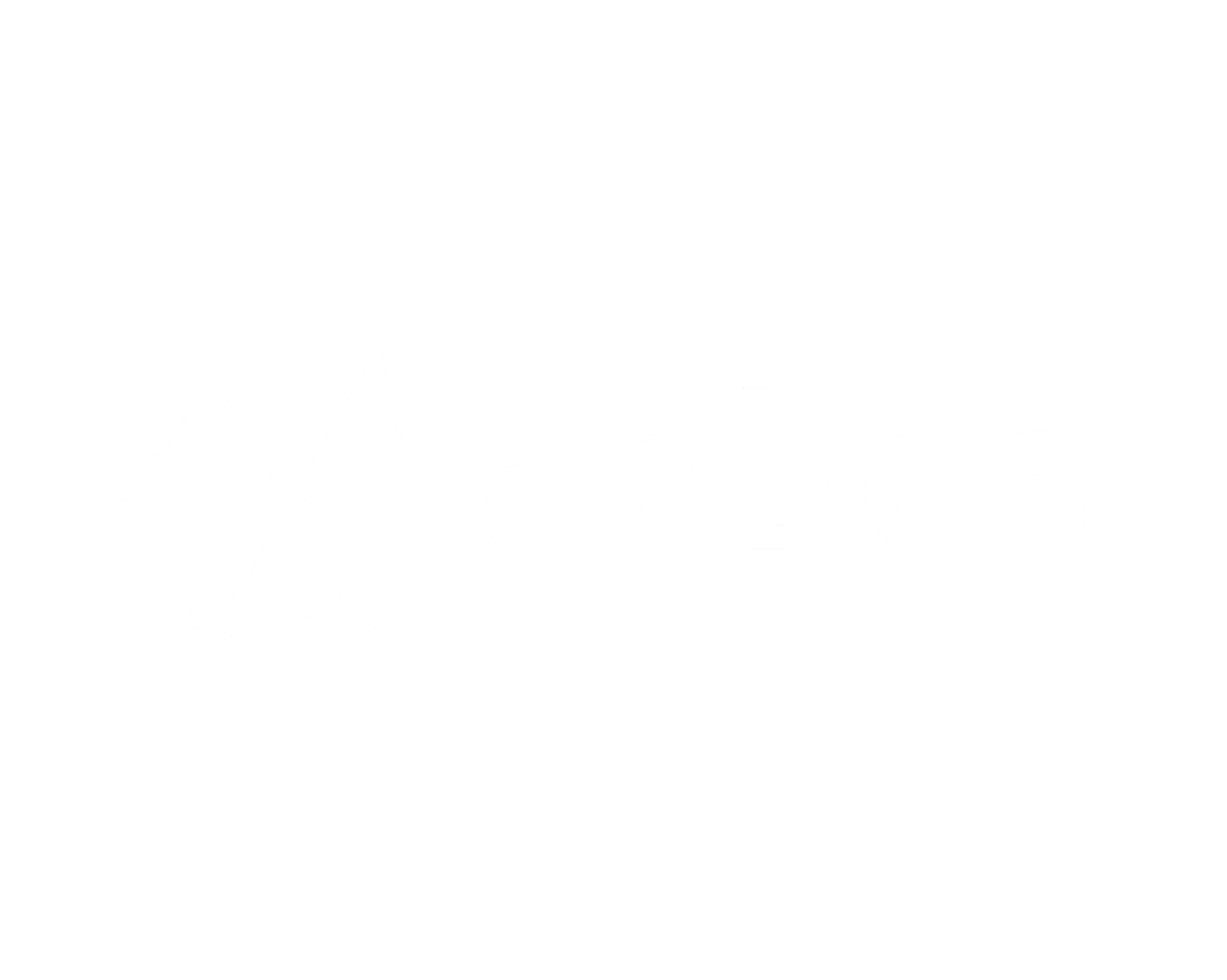 Apiros white logotype